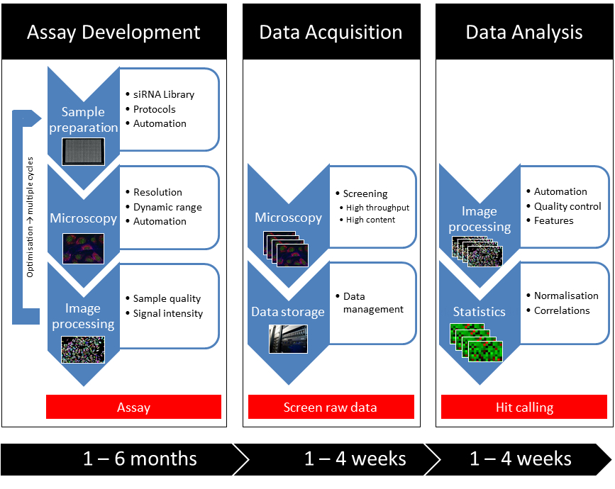 ABSF_Screen-Workflow-TimeScale