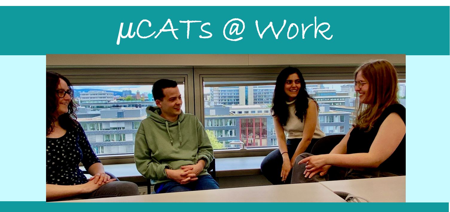 microCATs@work