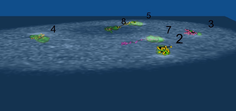 Particle Tracking Challenge